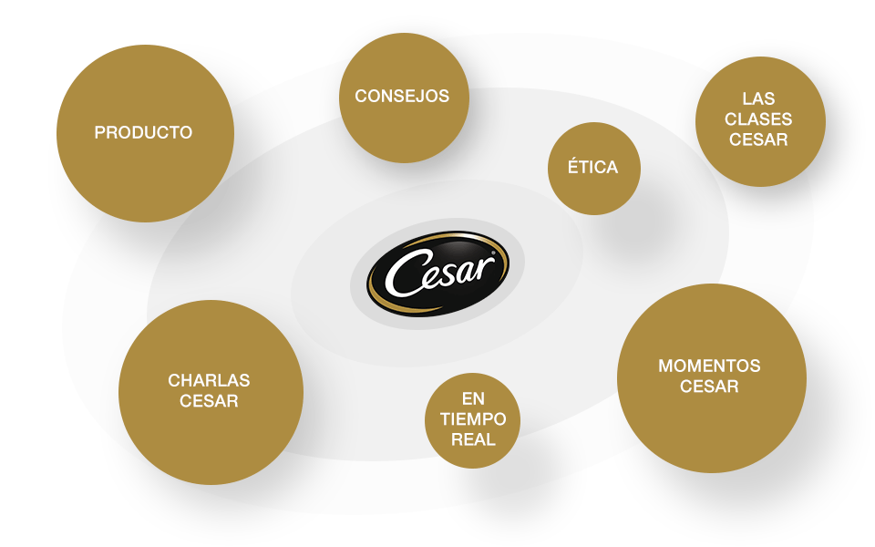 Estrategia de contenido